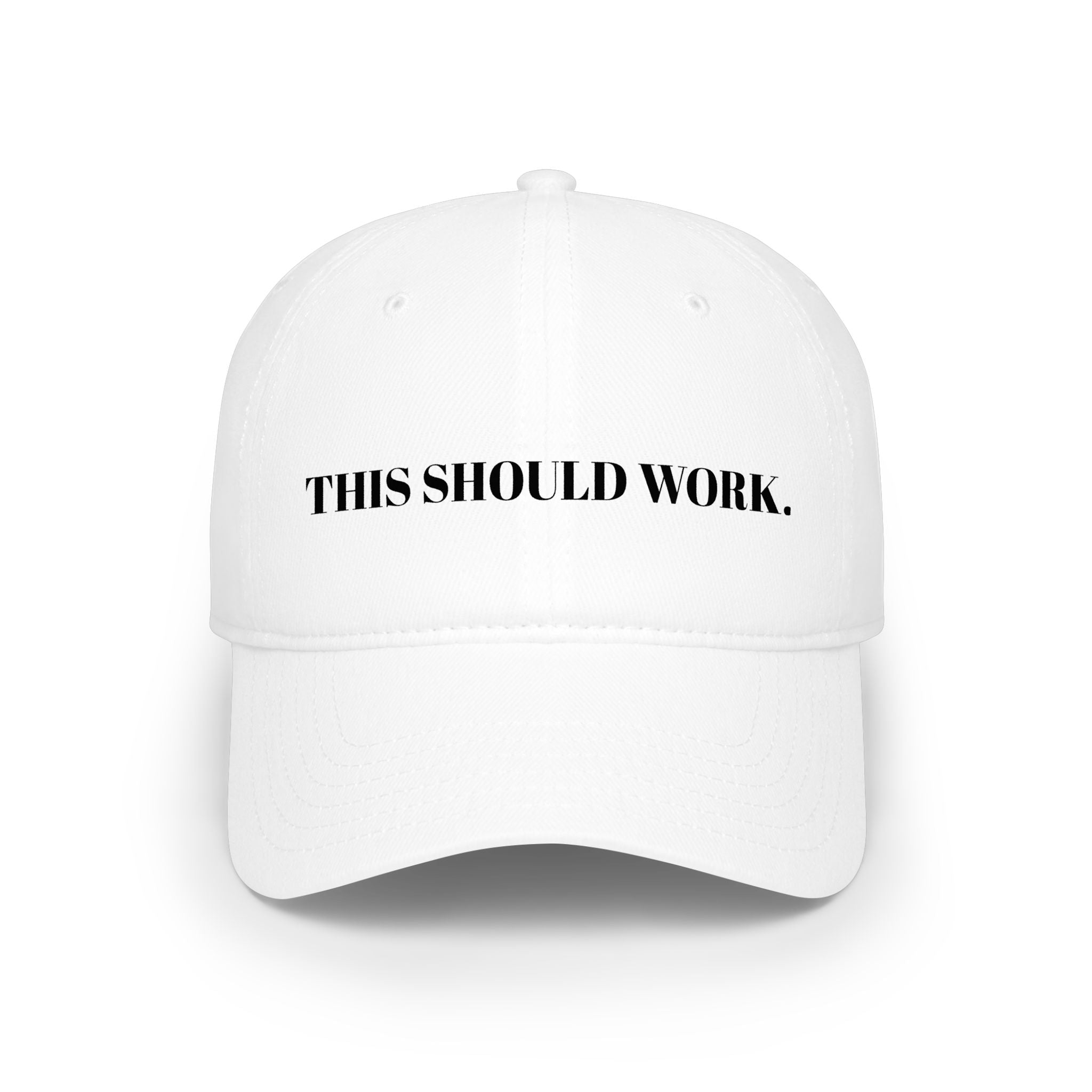 "THIS SHOULD WORK." Hat