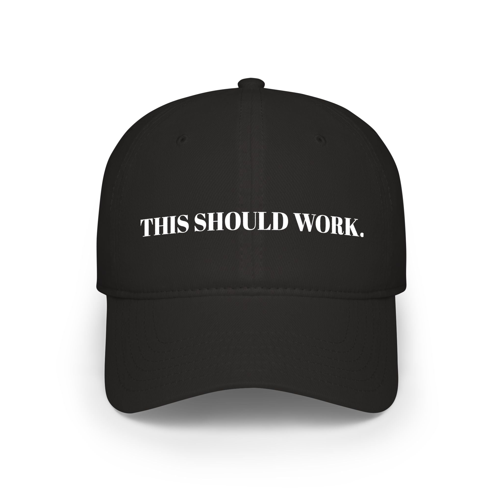 "THIS SHOULD WORK." Hat